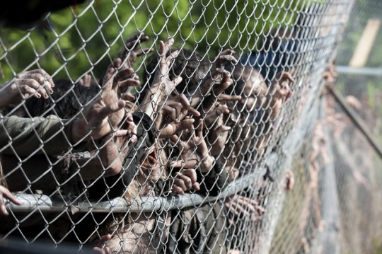Walkers - The Walking Dead _ Season 4, Episode 1 - Photo Credit: Gene Page/AMC