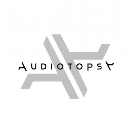 audiotopsylogo